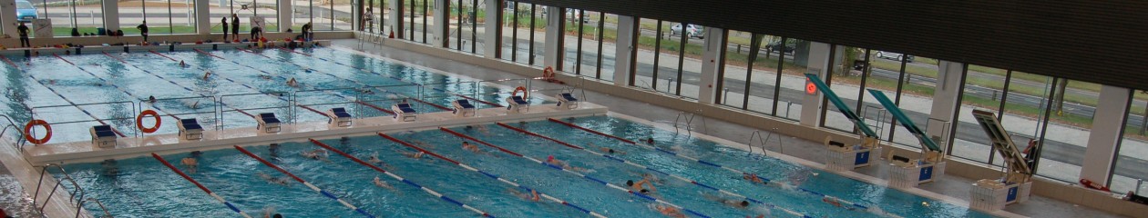 Team Luton Swimming